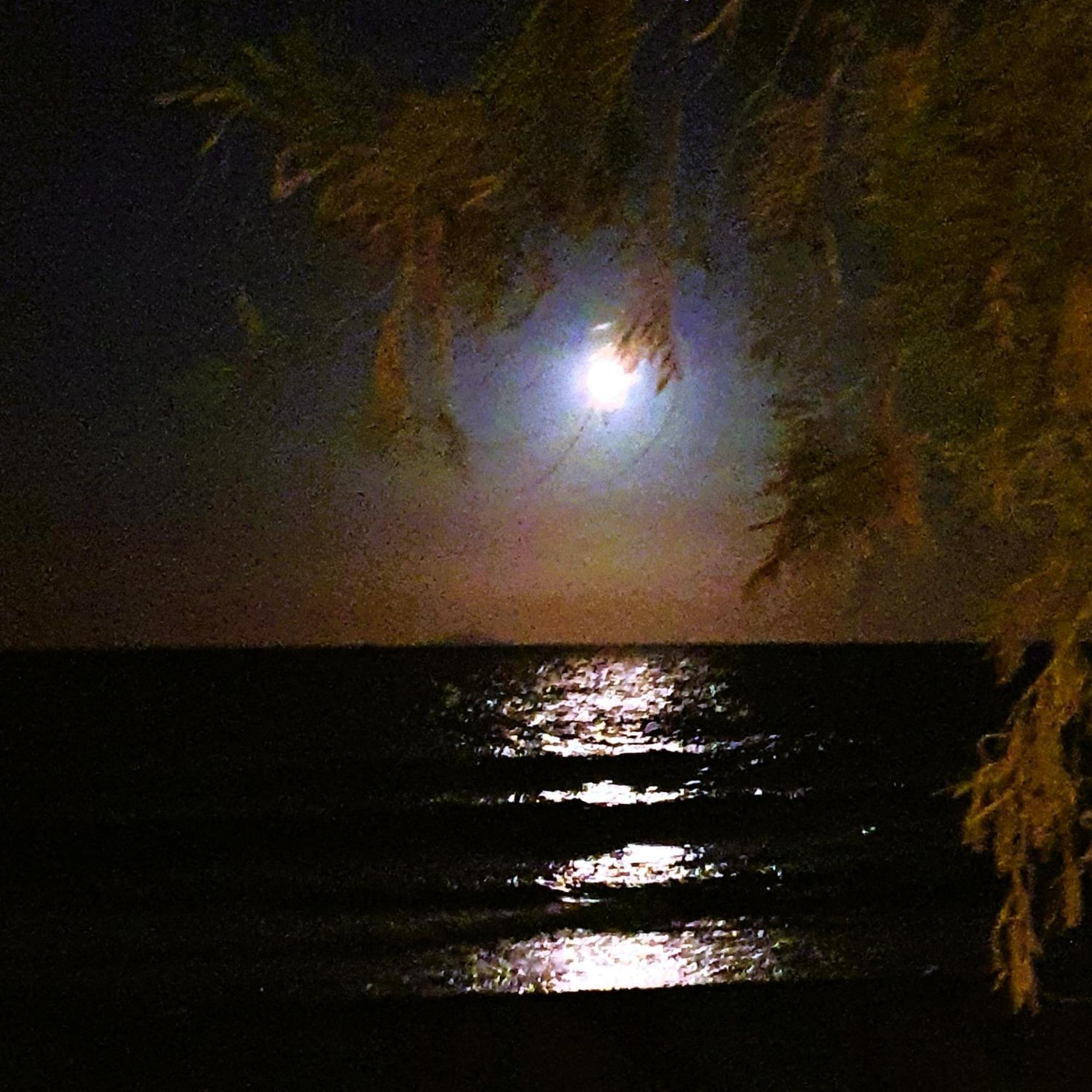 Arion Bay Santorini מלון Kamári