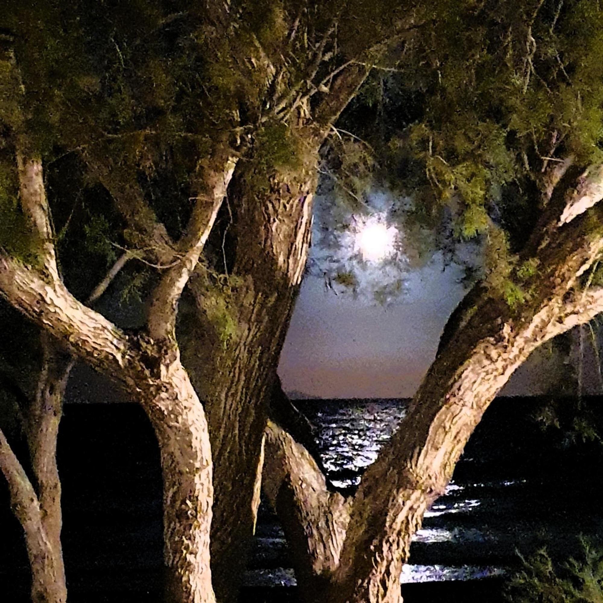 Ξενοδοχείο Arion Bay Santorini