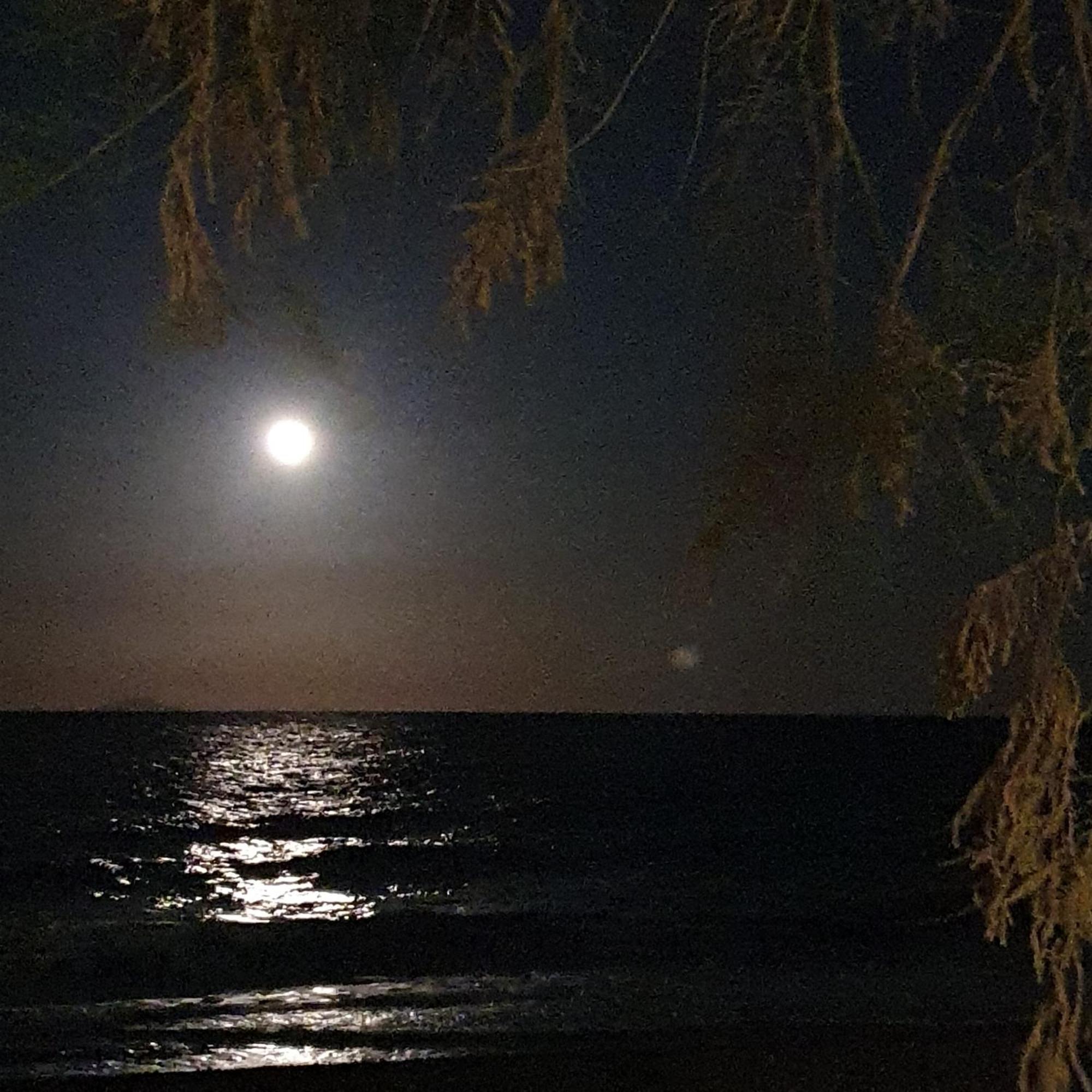 Arion Bay Santorini Καμάρι