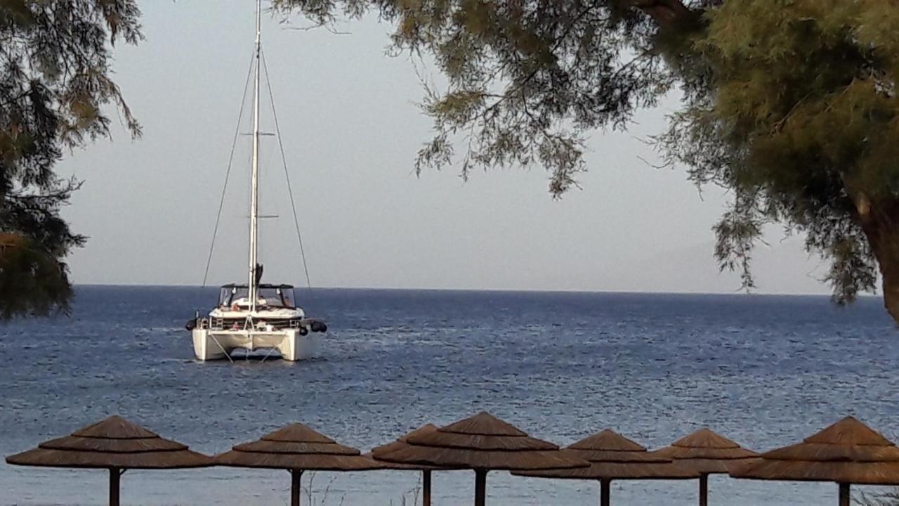 Arion Bay Santorini Ξενοδοχείο 3*